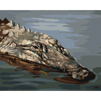ZUTY Malování podle čísel ALIGÁTOR HLAVA VE VODĚ I D. RUSTY RUIST 80 x 100 cm Rámování vypnuté plátno na rám