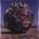 Anthrax - Stomp 442 LP