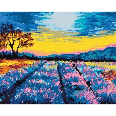Malování podle čísel Levandulové pole v provence