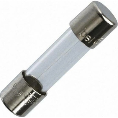 Pojistka trubičková skleněná F 100mA 250V 5x20mm