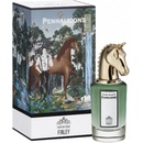 Penhaligon's Portraits - Fortuitous Finley EDP 75 ml