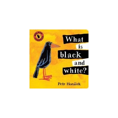 What is Black and White? - Horacek Petr