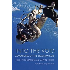 Into the Void | Melvin Croft (ISBN: 9781496224125)