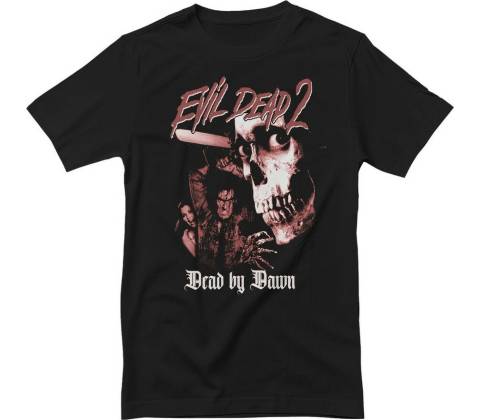 Evil Dead 2 Collage
