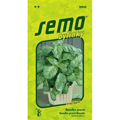 bazalka LETTUCE LEAF