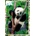 Pohlednice Panda