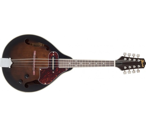 Ibanez M510E-DVS