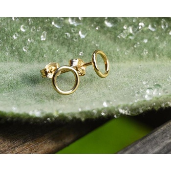 Minimal náušnice v kruhu se třpytem 29084