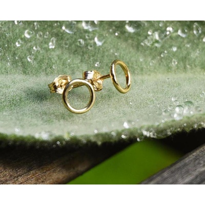 Minimal náušnice v kruhu se třpytem 29084