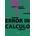 Error in calculo - Petr Wolf