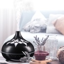 Sixtol Aroma difuzér Palm černý lesk 500 ml