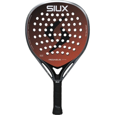 Siux Pegasus Elite 4