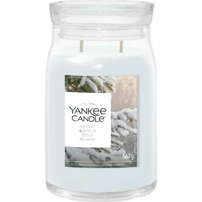 Yankee Candle Signature SNOW KISSED PINE 567 g