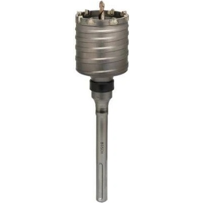 Bosch F00Y145196