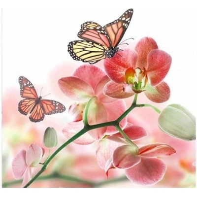 DIMEX MS-3-0146 vliesová fototapeta na zeď Motýle a orchidey, rozmery 225 x 250 cm