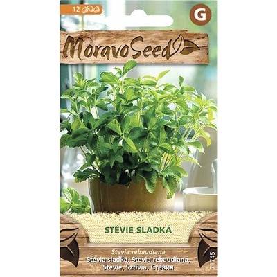 MoravoSeed Stévia sladká semená MoravoSeed