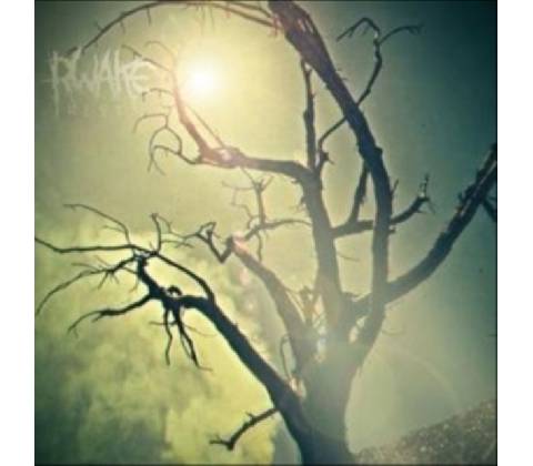 RWAKE: REST CD