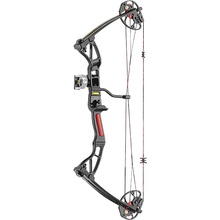 Ek ARCHERY Rex