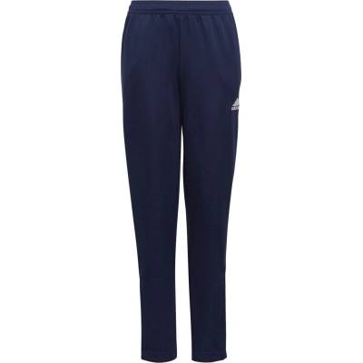 adidas ENT22 TR PNT Y Tmavo modrá Biela