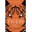 STAGS 4: TIGERS
