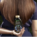 Garnier Botanic Therapy Magnetic Charcoal šampón 250 ml