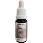 PHI Essences Зарежда с любов и надежда - Есенция Джехиел (Angel Esssence № 12), капки 15 ml (12 ANGEL)