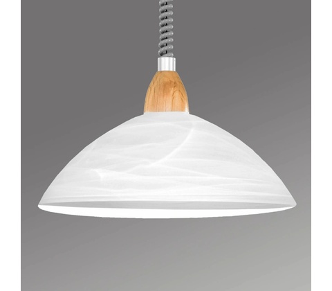 Eglo 87009