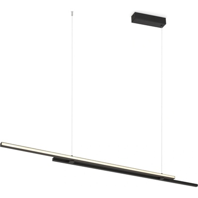 Maytoni MOD005PL-L48BK