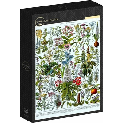 Grafika Ilustrácia z Larousse Liečivé rastliny 1000 dielov