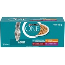 Purina One Adult mini filetky v šťave 40 x 85 g