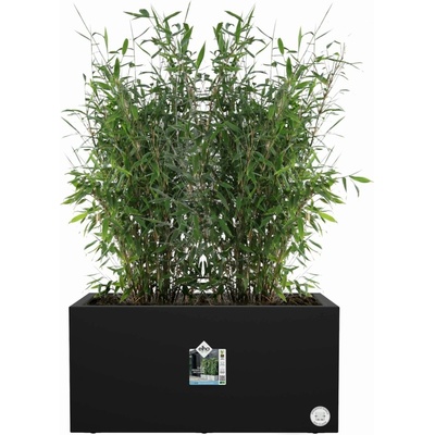 elho Kvetináč vivo next long 80 cm - living black