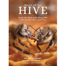 Heart of the Hive