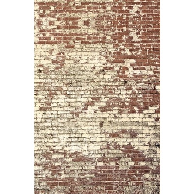 103438204 Vliesový panel Kamenný dekor 200x310 cm