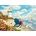 Enjoy - Puzzle Rays of Hope - 1 000 piese