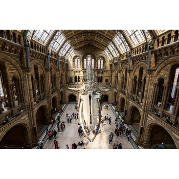 DIMEX ART s. r. o Флизелинов фототапет зала „хинце, лондон 375 x 250 см