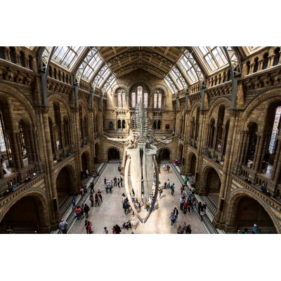 DIMEX ART Флизелинов фототапет зала „хинце, лондон 375 x 250 см