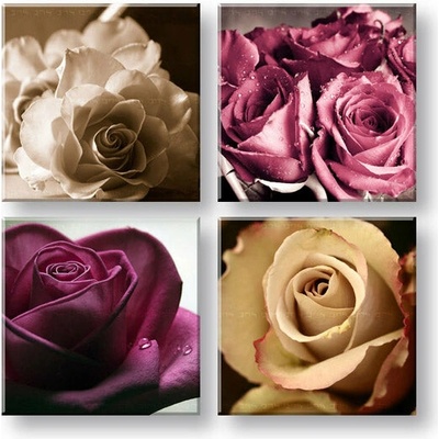 Obraz na stenu Kingdom of roses - 40x40 cm