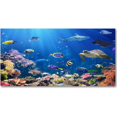 Foto obraz sklo tvrzené koralový útes 100x50 cm