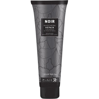 Black Professional Black Prefessional Line Noir Repair Mask 250 ml