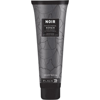 Black Professional Black Prefessional Line Noir Repair Mask 250 ml