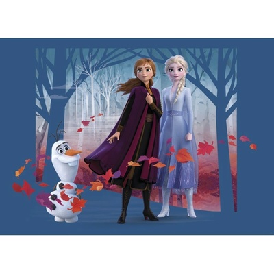 AG Design FTDNM-5264 Dětská vliesová fototapeta Disney Ledové království 2 160 x 110 cm