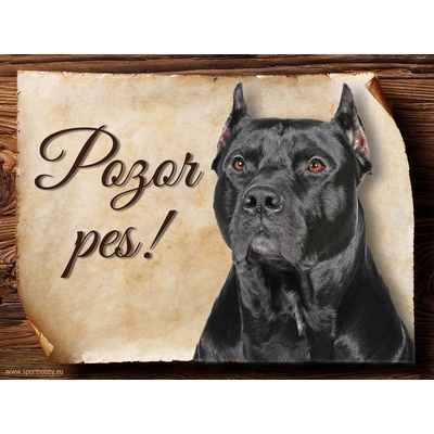Sport hobby Cedulka Americký pitbulteriér Pozor pes 20 x 15 cm