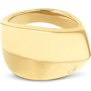 Calvin Klein 35000822e (35000822e)