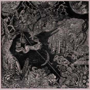 Upon Return - Gentle Stranger LP