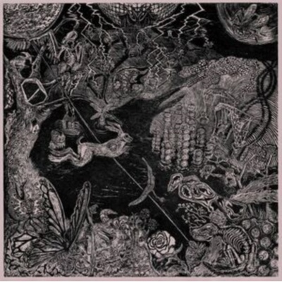 Upon Return - Gentle Stranger LP