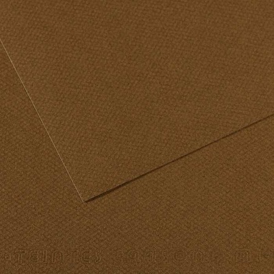 Canson Tónovaný papier Mi-Teintes 50 x 65 cm 160 g/m²Tabaková 501