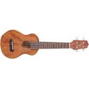 Takamine GUS1