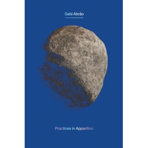 Practices in Apparition (ISBN: 9781945649608)