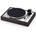 Pro-Ject The Classic Evo Eucalyptus