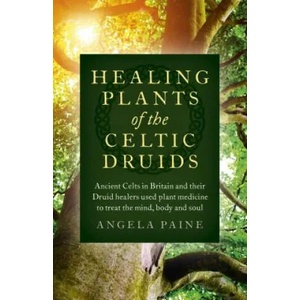Healing Plants of the Celtic Druids - Ancient Celts in Britain and their Druid healers used plant medicine to treat the mind, body and soul | Angela Paine (ISBN: 9781785355547)